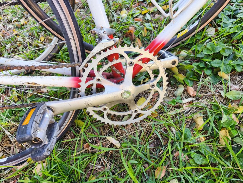 Cursiera Peugeot și Bachmann, Raleigh de oras