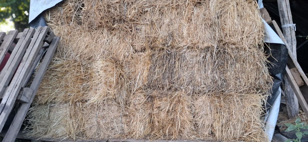 Baloti iarba din 2025