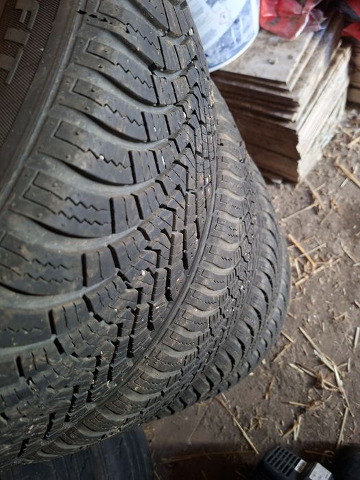 205/55 r16 iarna