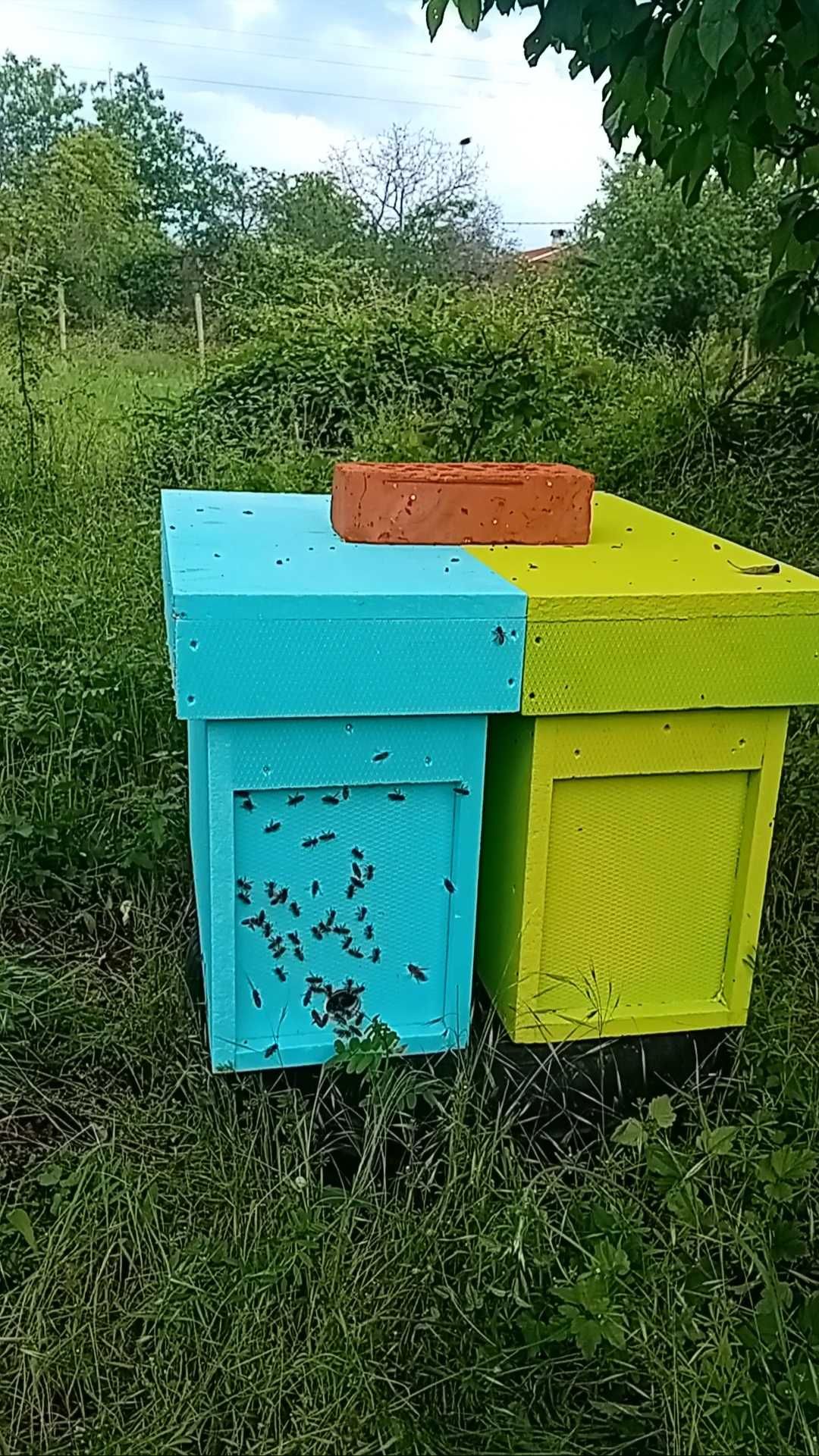Нуклеуси от фибран