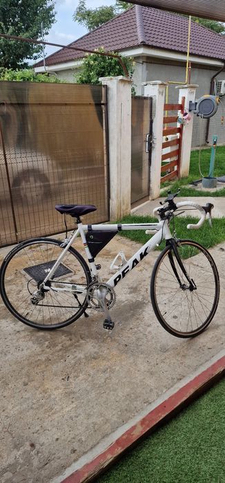 Bicicleta Peak cycle semicursiera