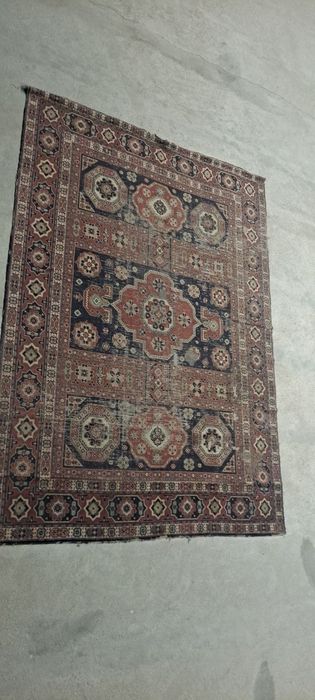 Gilam tuya junidan qilingan 1955 yil 70 yilik gilam