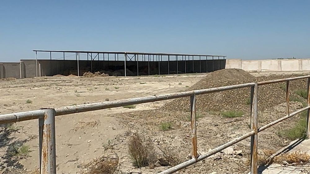 Продается новый Ферма в Бухаре