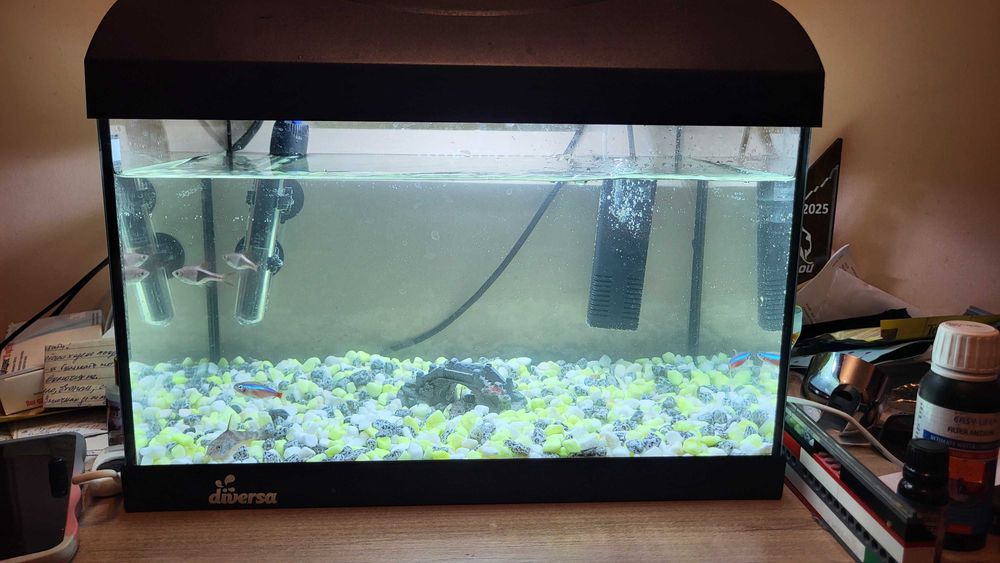 Аквариум с помпа и лампа 40/25/26