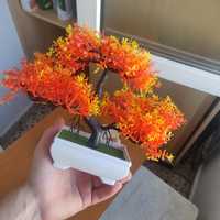 Planta decorativa bonsai