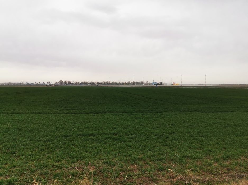 4,5 ha Teren intravilan vis-a-vis de Aeroportul Mihail Kogalniceanu