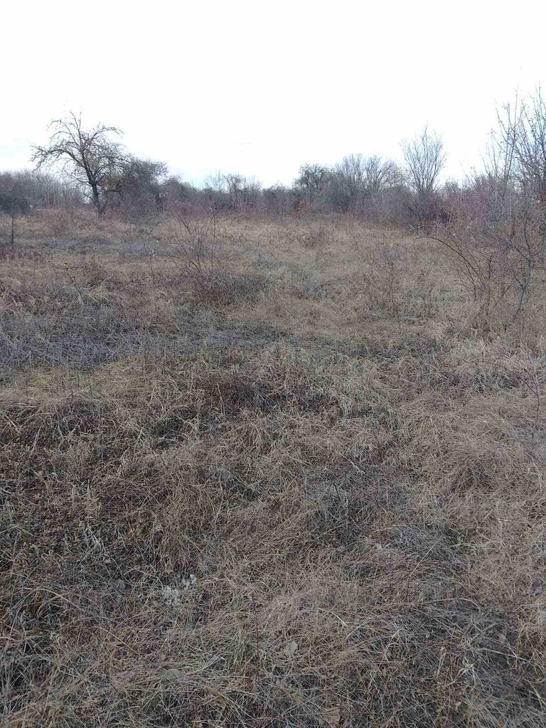 Продава се Парцел в с. Пороище, Област Разград - 2200 кв.м за 8 €/кв.м - Снимка #1