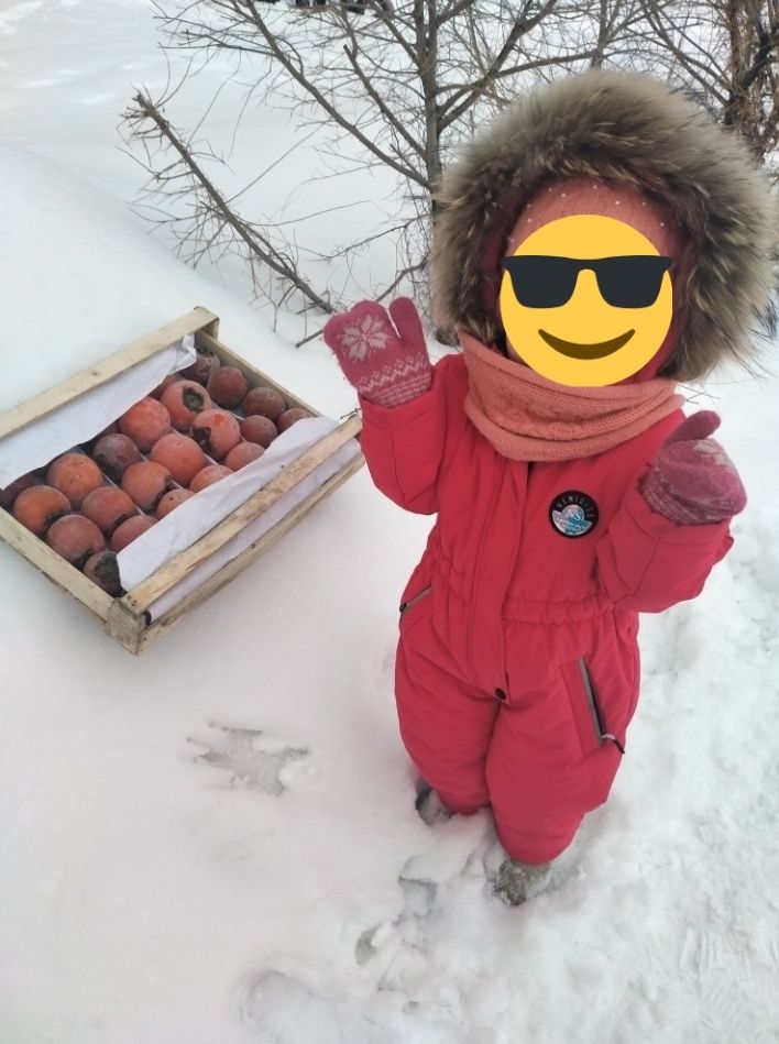 Продам зимний комбинезон  в отличном состоянии