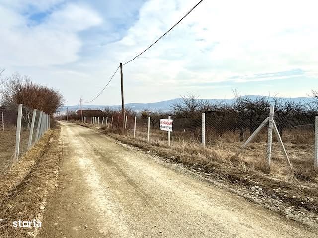 Teren intravilan 1500 mp , front 37 m, Livada SSCP