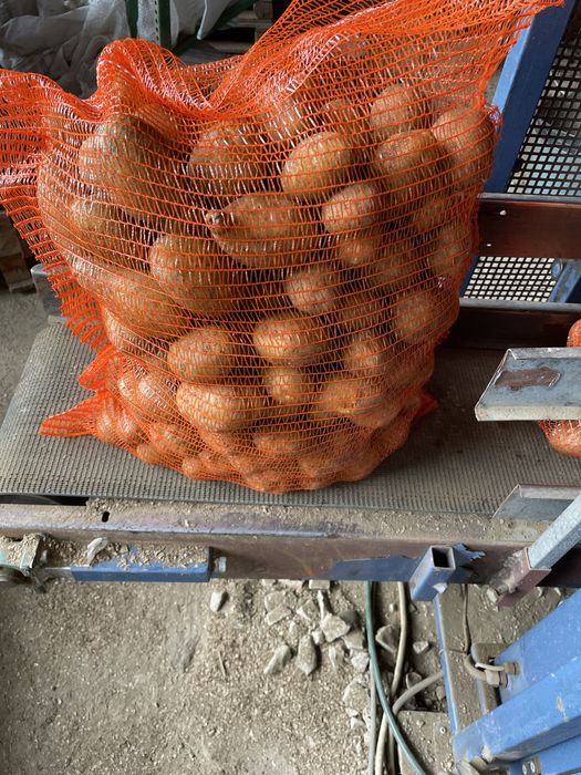 Cartofi consum proaspat