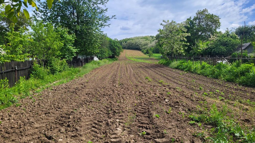 Casa la curte cu teren, livada si gradina, suprafata totala  8700m2