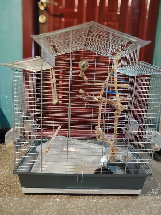 Cușcă păsări Mare accesorii full