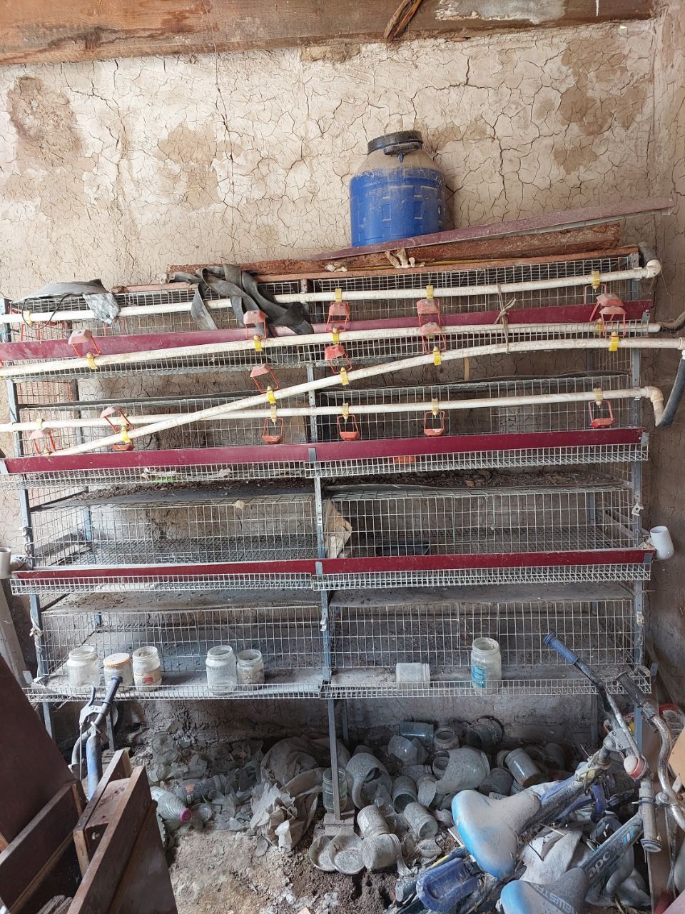 Bedana qafas sotiladi