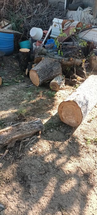 Lemne de foc,2..3000 kg