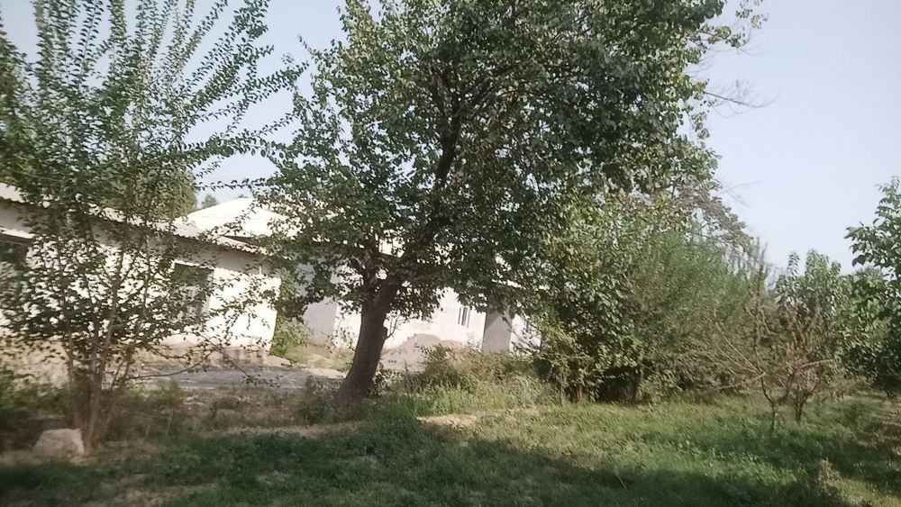 Uchaska sotiladi