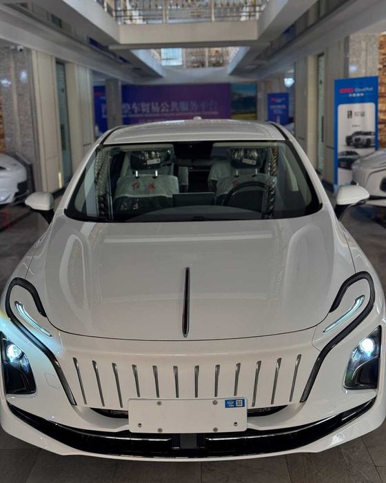 Dongfeng 008 ultra restyling 610 km