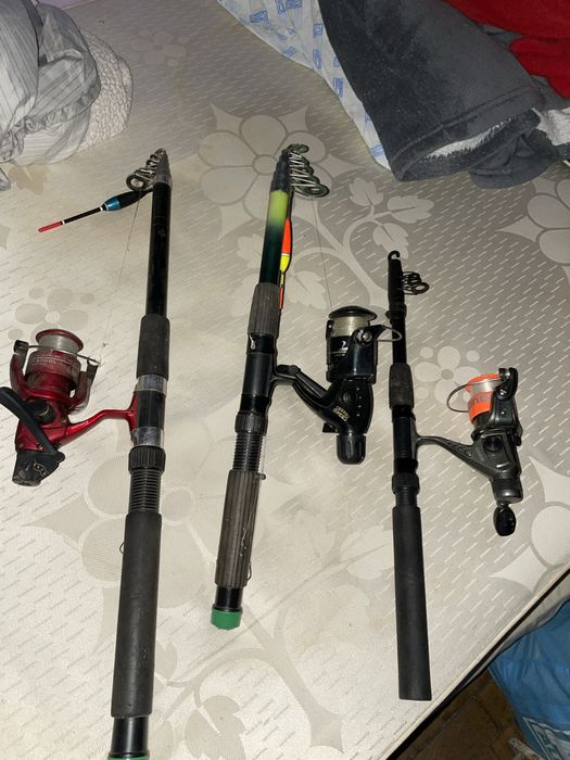 Bete pescuit 500 lei toate trei