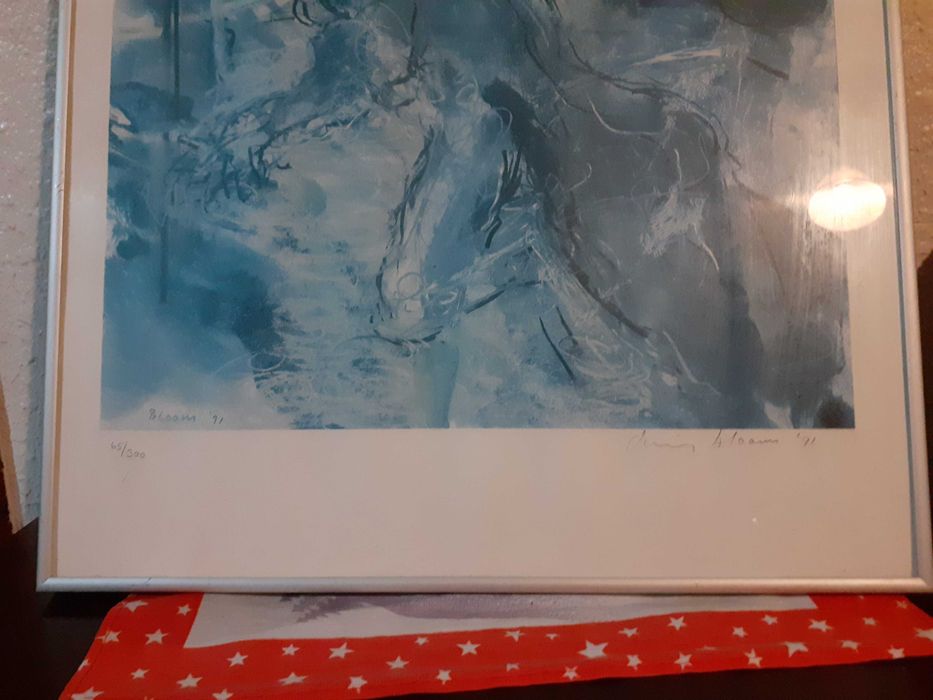 Lot doua gravuri valoroase,serie limitata ,ani 90