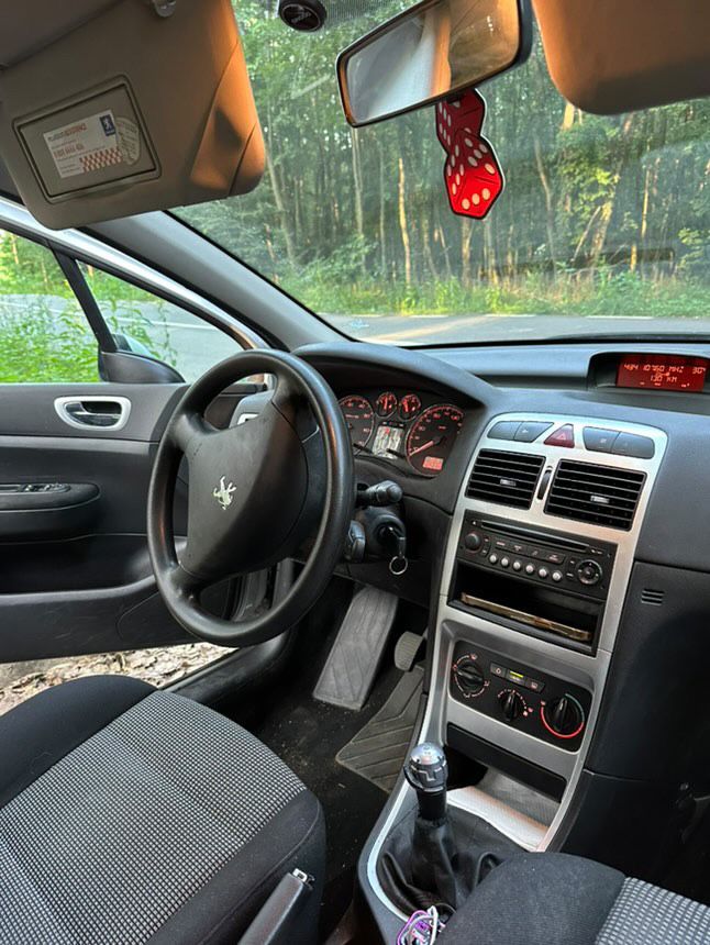 Peugeot 307 1.6 Benzina