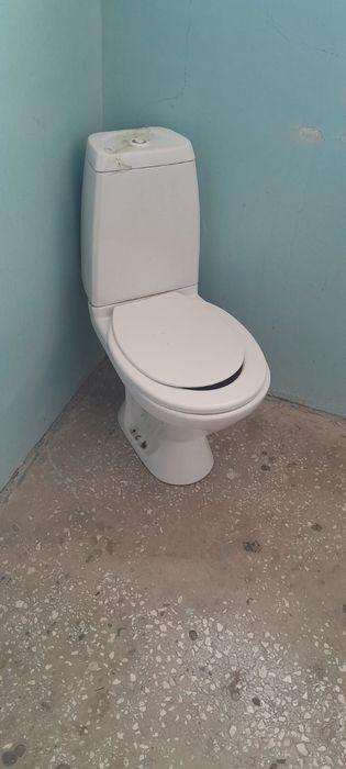 Унитаз и раковина тюльпан