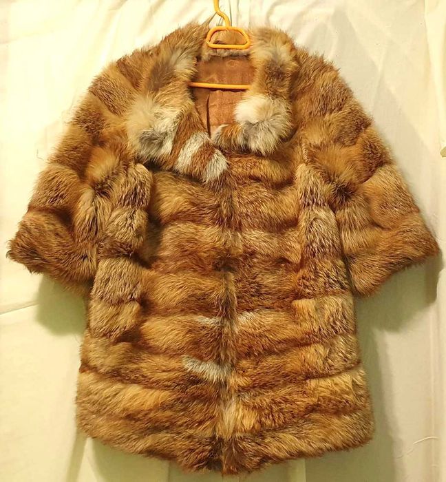 Scurta de blana, vulpe argintie