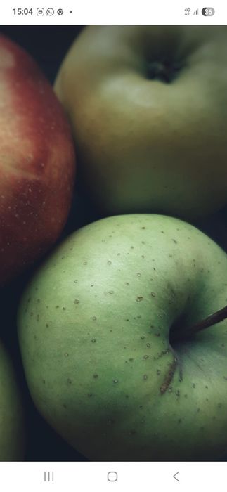 Mere Bio.Castane.Aronia.Suc aronia.Lemn foc.Aluni.Nuci.Ciresi.Tei.Soc.