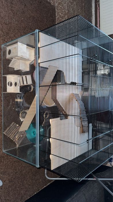 Cusca pentru hamsteri