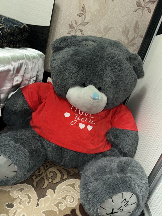 Teddy ayiq kottasi o