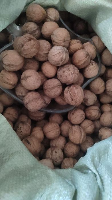 Орехи грецкие домашние