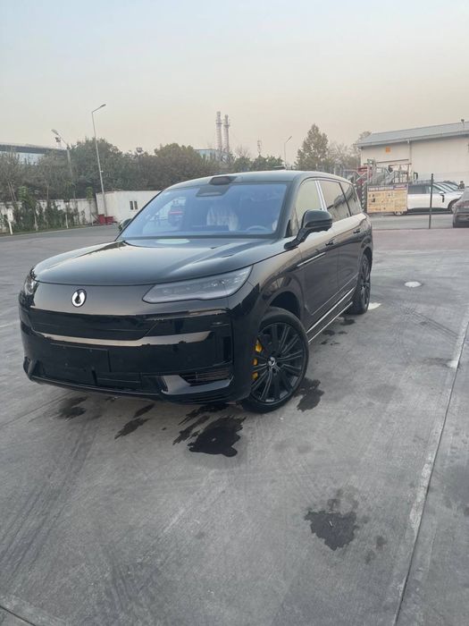Denza N9 full pozitsia