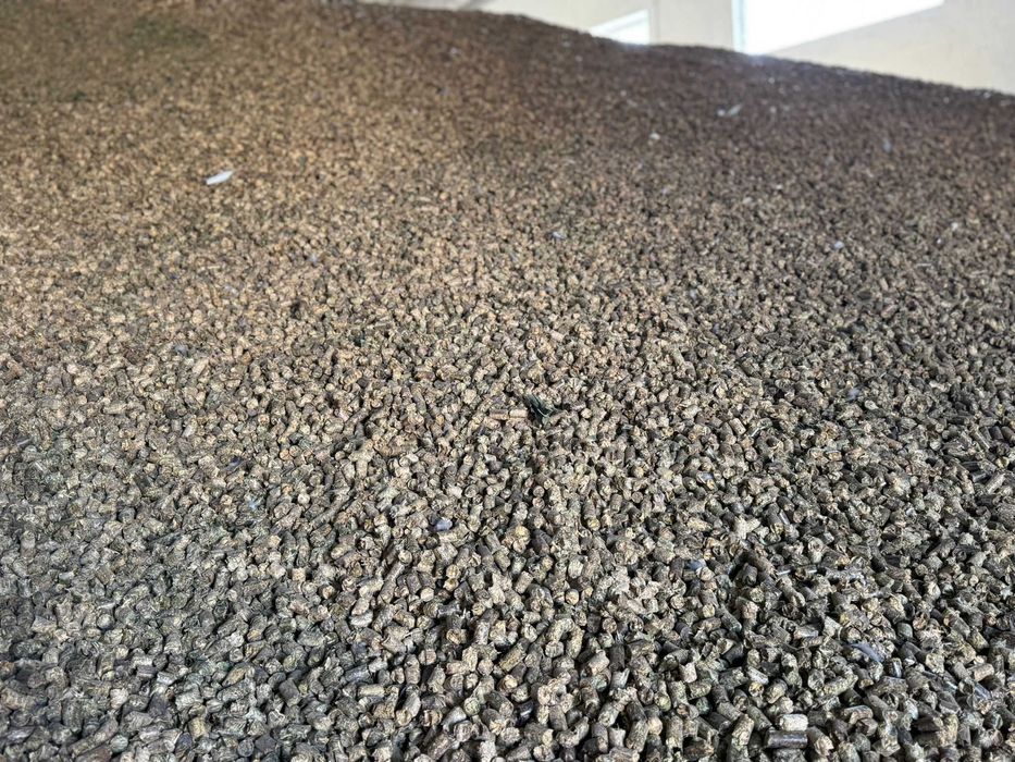 Peleti de lucerna furajeri calitate premium