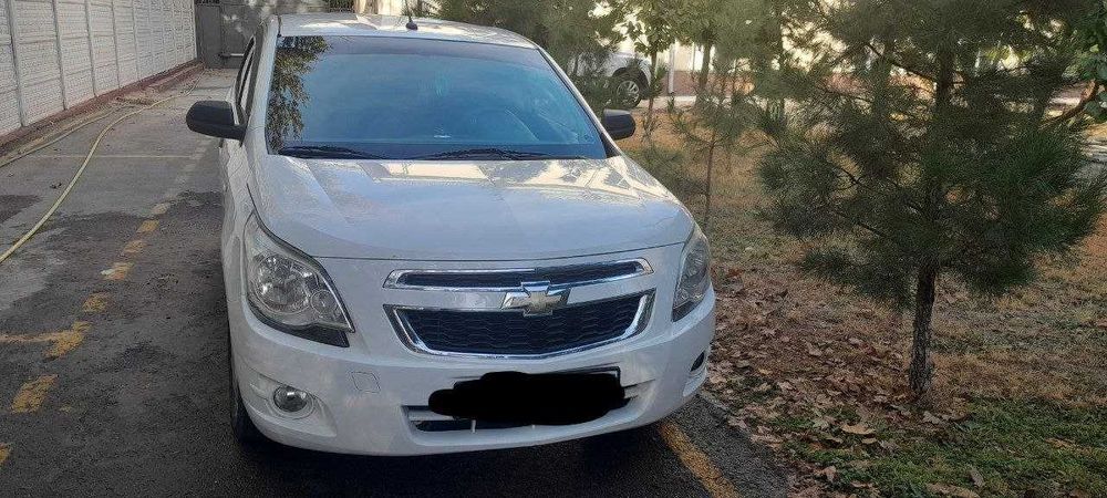 Cobalt 1-pozitsiya, 2014