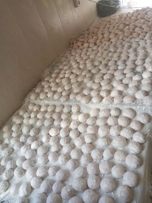 Kanditer maxsulotlarini bir kunda o'rgataman