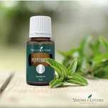 Menta (Peppermint) ulei esential pur - Young Living