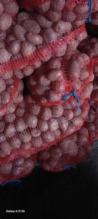 Vand cartofi consum alb