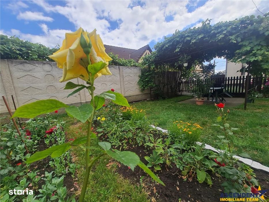 Poveste saseasca la umbra vitei de vie, cu crama si gradina cu flori,