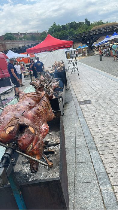 Protap de porc , berbecut, vitel