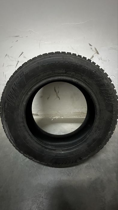 Зимняя шина Triangle Ice LinX TI501