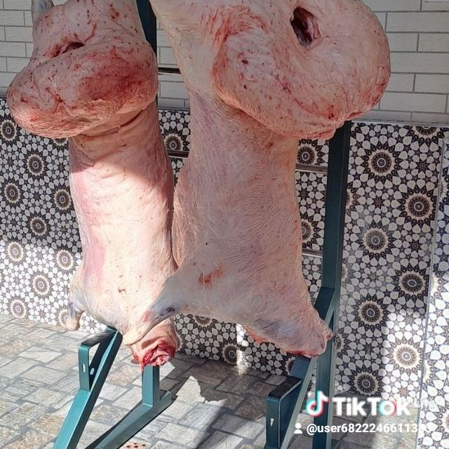 Qassob sizmati uyga boramiz