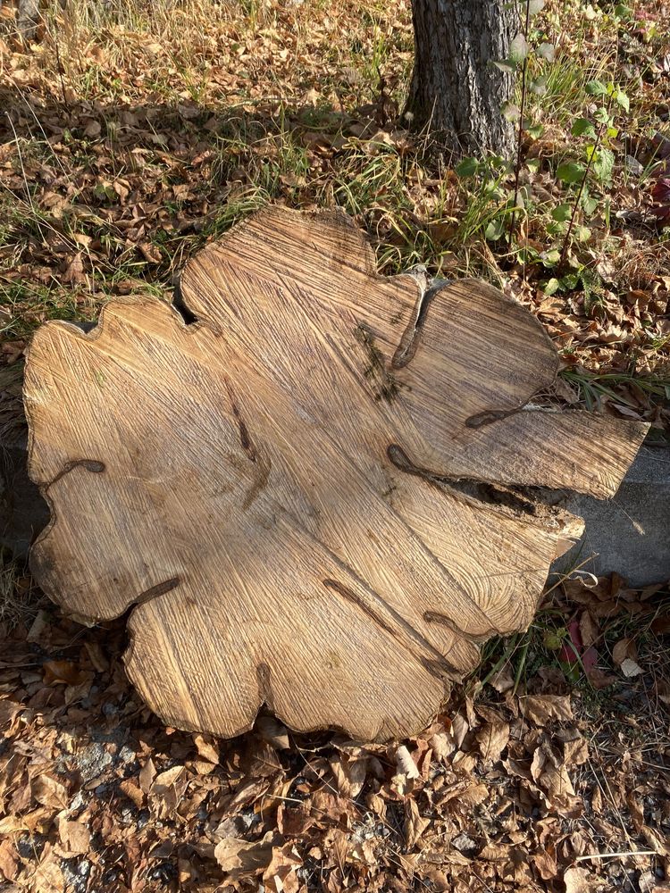 Rondele lemn de carpen, nuc stejar frasin