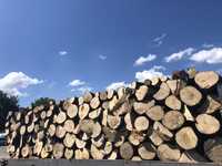 Метрови дърва за огрев 140 лв  за обл. ВТ