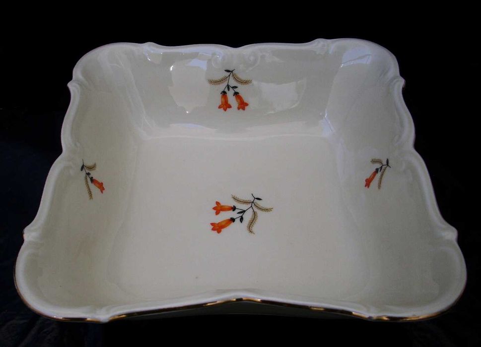 Сервиз за хранене Carl Tielsch – Altwasser порцелан