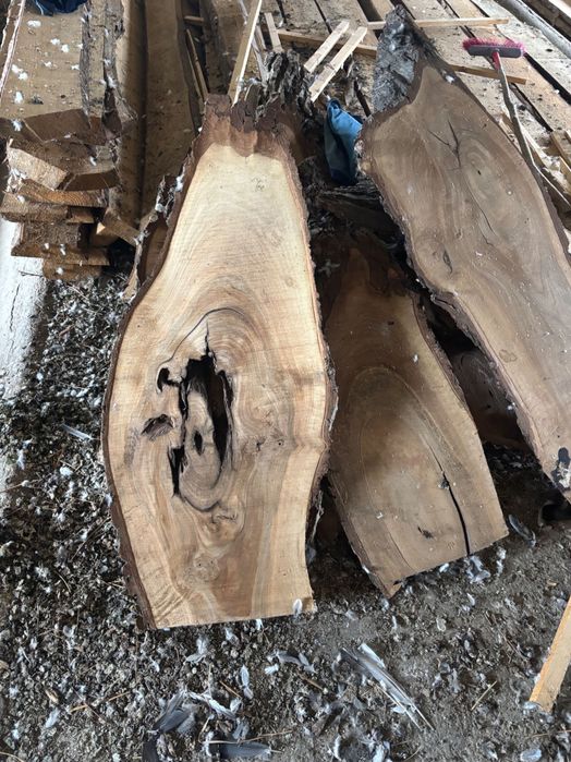 Blaturi de nuc,diferite dimensiuni