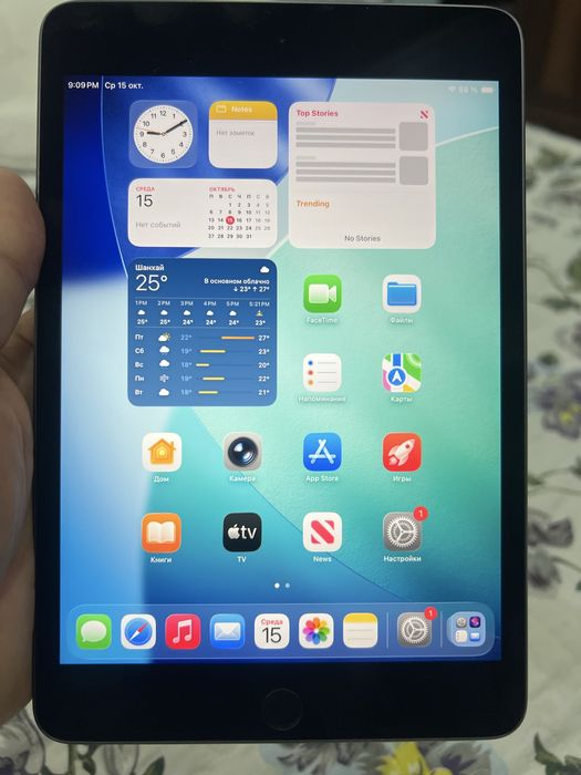 Ipad mini 5 generation. 256 gb
