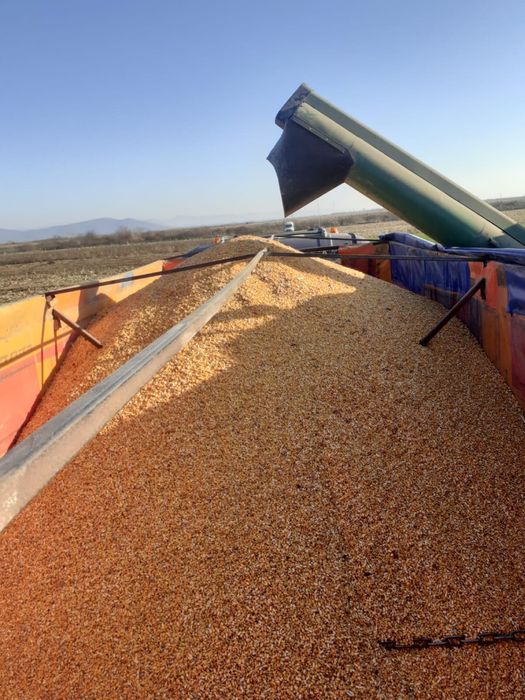 Scania 144L 530 V8 – stare bună, pregătit de lucru