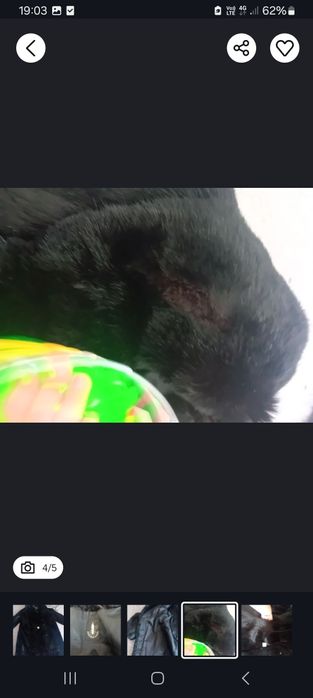 Haina blana naturală