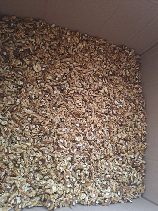 Miez de nuca Nou de anul acesta