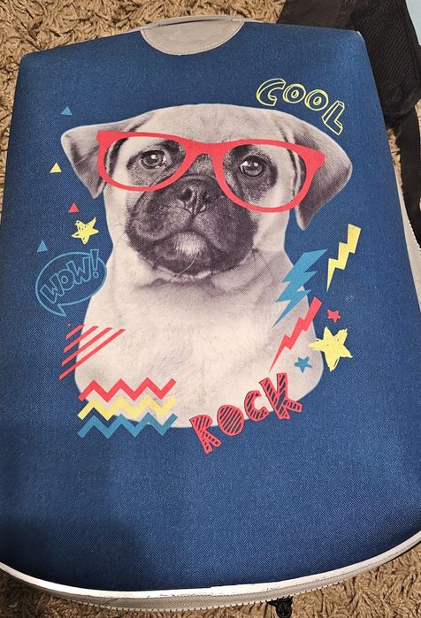 Rucsac cu 5 fete interschimbabile