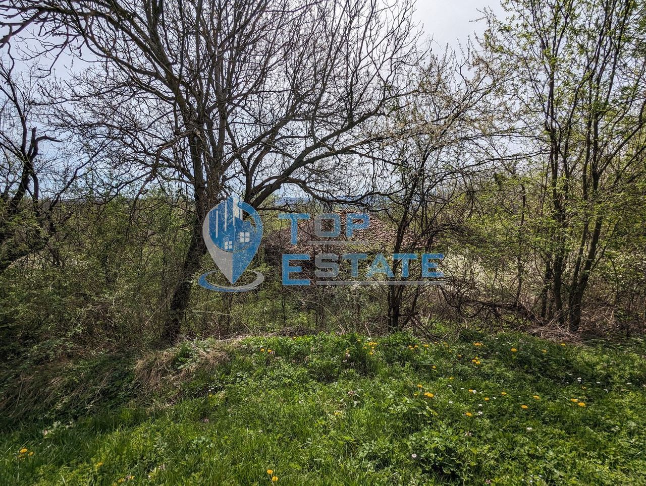 Продава се Парцел в Елена - 1000 кв.м за 12 €/кв.м - Снимка #3