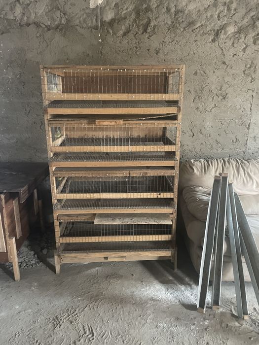 Бөдене ұясы брудер сатылады